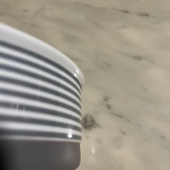 Bone Dry Ceramic Pet Bowl  For Food  or Water With Non-Skid base - Picture 7 of 11